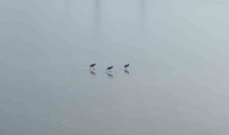 Vanda dereler dondu, ağaçlar kırağı tuttu