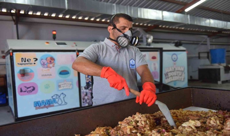 Yıldırımda atık gıdalar mamaya dönüşüyor