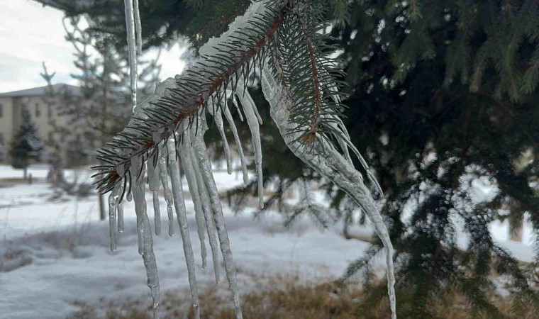 Ağrıda dondurucu soğuklar etkili oluyor