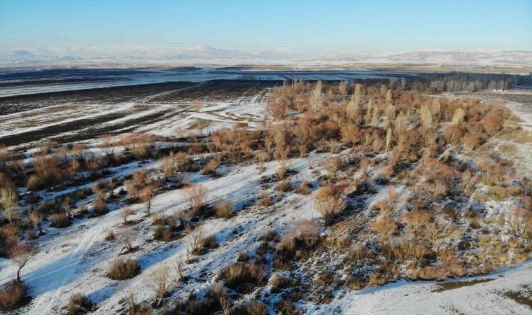 Ağrıda kış manzarası göz kamaştırdı