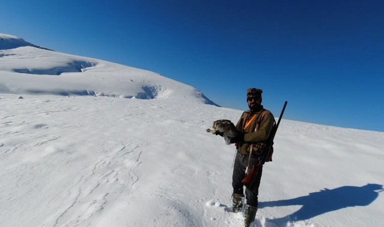 Avcılar elleriyle yakaladığı tavşanı farkındalık için doğaya geri bıraktı