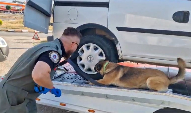 Boluda uyuşturucuya 9 operasyon yapıldı