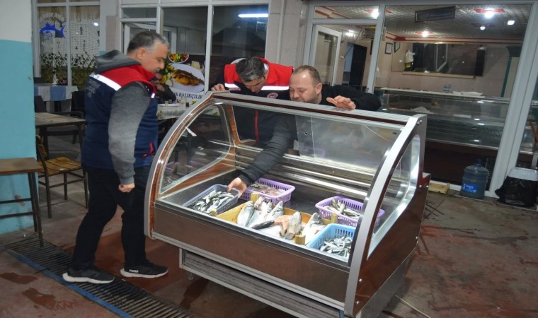 Buharkentte balıkçılığa yönelik denetimler devam ediyor