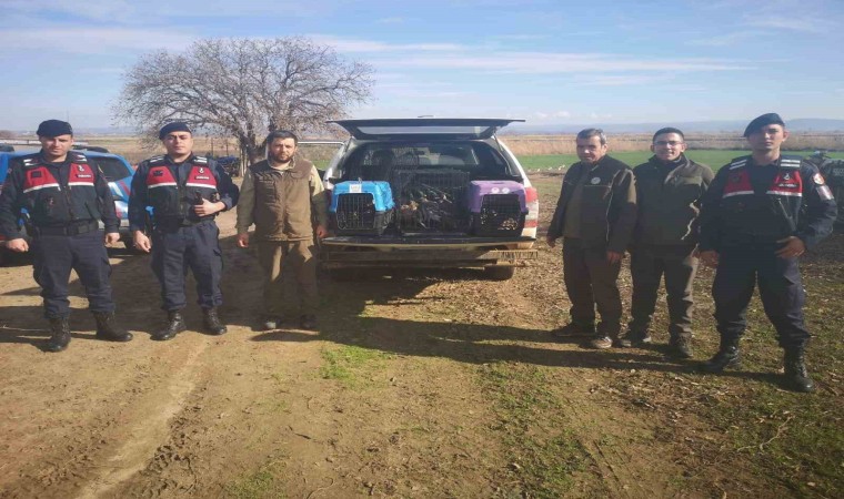 Çanakkalede kaçak av operasyonuna 70 bin TL ceza