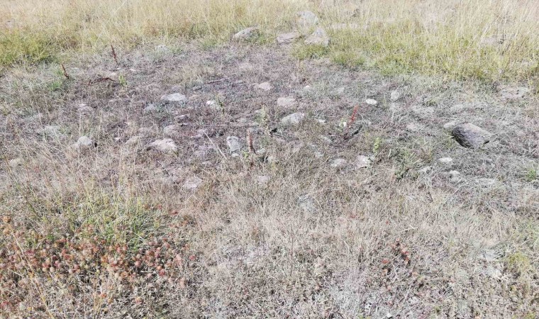 Cevizdere Şehitleri Gazileri Derneği kapatılma tehlikesiyle karşı karşıya