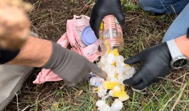 Kırklarelinde uyuşturucu operasyonu: 6 gözaltı