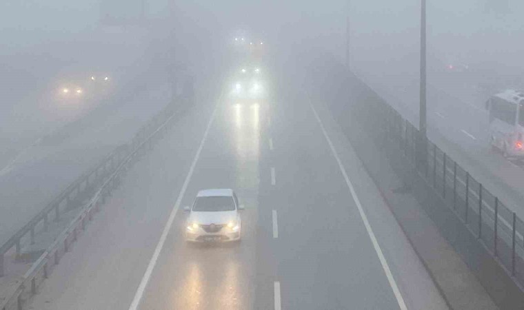 Kocaelide sis etkili oldu