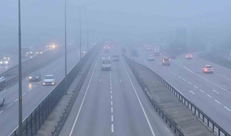 Kocaelide sis etkili oldu