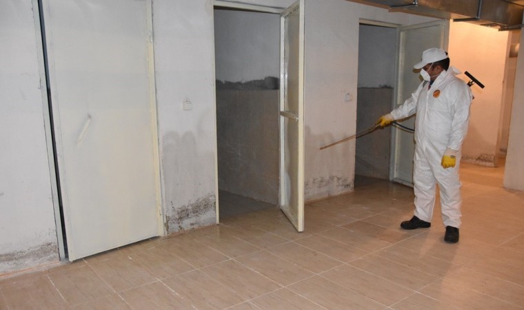 Kocasinanda yıl boyunca çevreci ve bilimsel yöntemlerle haşerelere karşı önlem alınıyor