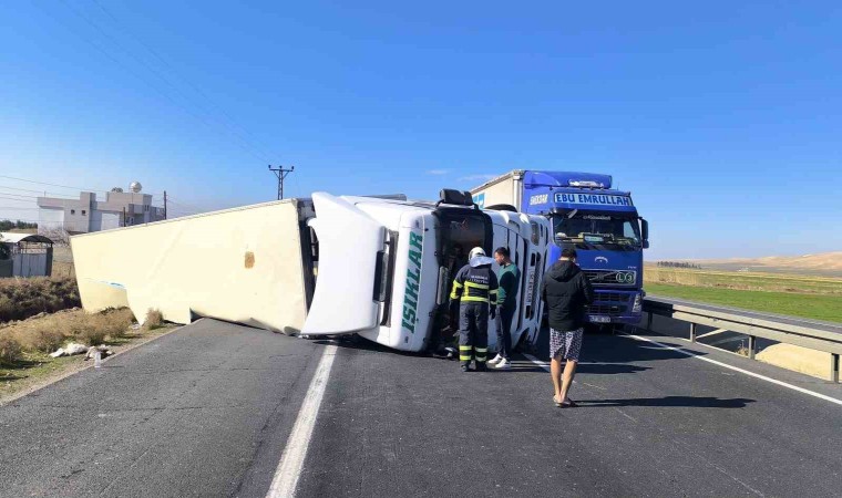 Mardinde kontrolden çıkan peynir yüklü tır devrildi