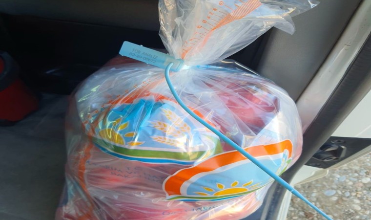 Samsatta pestisit analizleri için nar numuneleri alındı