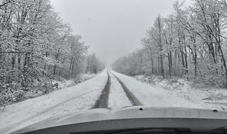 Sarıcakaya ormanlarında kar yağışı etkili oldu
