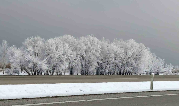 Vanda kırağı ve sis kartpostallık görüntüler oluşturdu