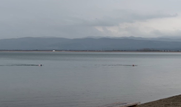 Yeni yılın ilk sabahında İznik Gölünde ilginç görüntü
