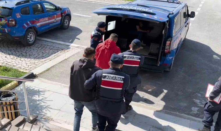 Aksaray’da küçükbaş hayvan hırsızlığına 1 tutuklama