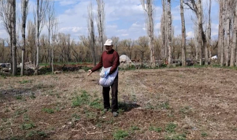 Akyaka’da elle tohum serpme geleneği devam ediyor