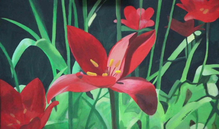 ’Amasya çiçekleri’ tablolarda açtı