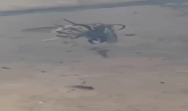 Arıyı ağına düşürüp etrafını sardı