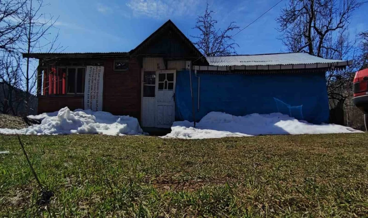 Aynı eve 2 yıl içinde 5. kez ayı girdi, ev savaş alanına döndü