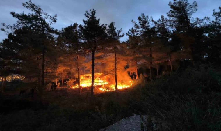 Barakadan yükselen alevler ormana sıçramadan