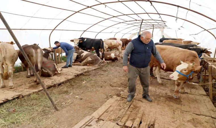 Başiskele’deki kurbanlık satış yerinde hazırlıklar tamam