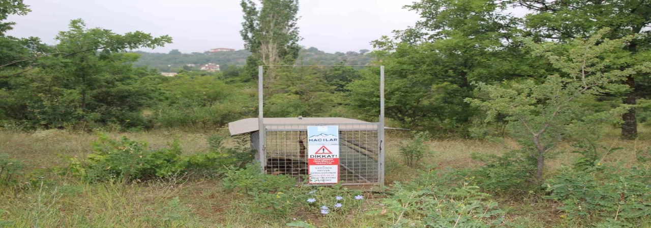 Başkan Özdoğan: ”Vatandaşımızın güvenliği her şeyden önce gelir”