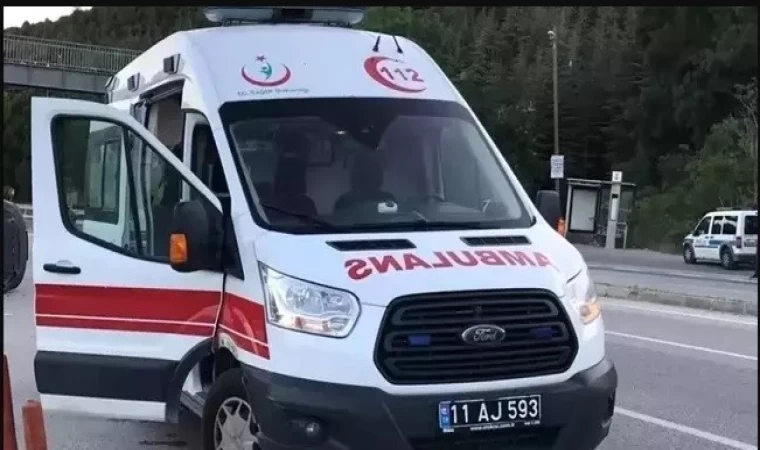 Bilecik’te seyir halinde devrilen motosiklet sürücüsü yaralandı