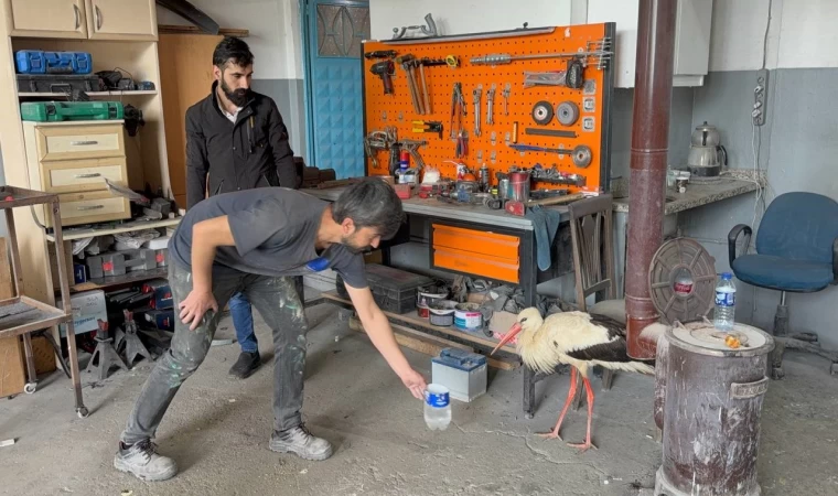 Bitkin haldeki leyleğe oto kaporta ustası sahip çıktı