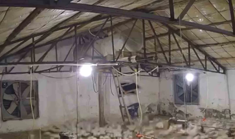 Bolu’da kümese girmeye çalışan ayı kamerada