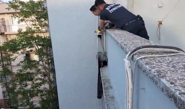 Çatı kenarında mahsur kalan yavru kediyi, itfaiye kurtardı