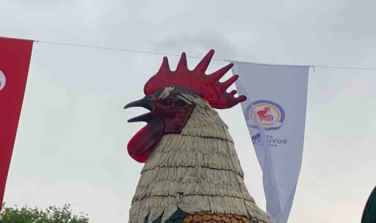 Denizli Horozu doludan nasibini aldı