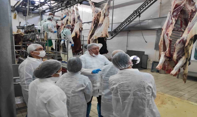 Denizli’de veteriner hekimlere yönelik eğitim düzenlendi