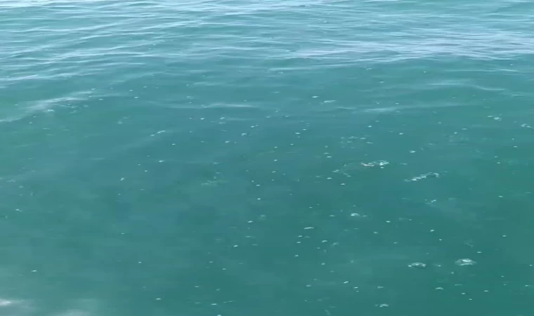 Depreme denizde yakalandılar: ”Marmara açıklarında bir gürültü koptu, tekne sallandı”