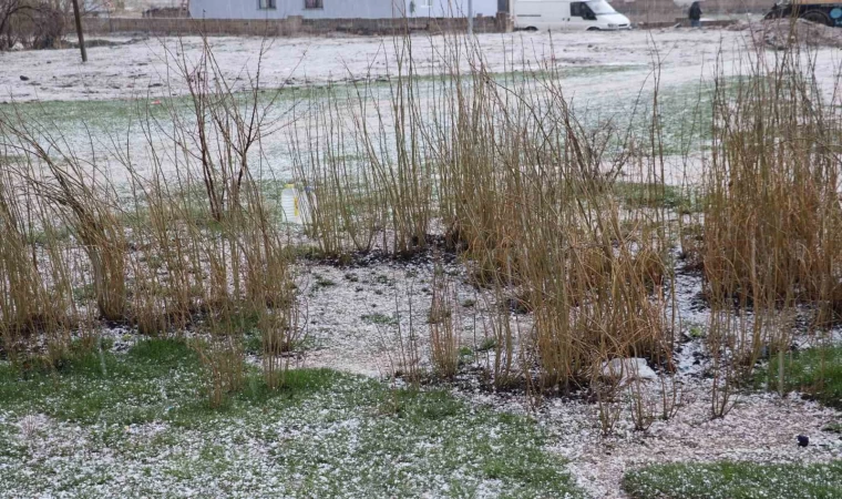 Diyadin’de dolu yağışı etkili oldu