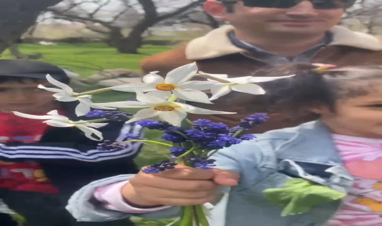 Doğaseverler zerrinkadeh çiçeğine dikkat çekmek için yürüdü