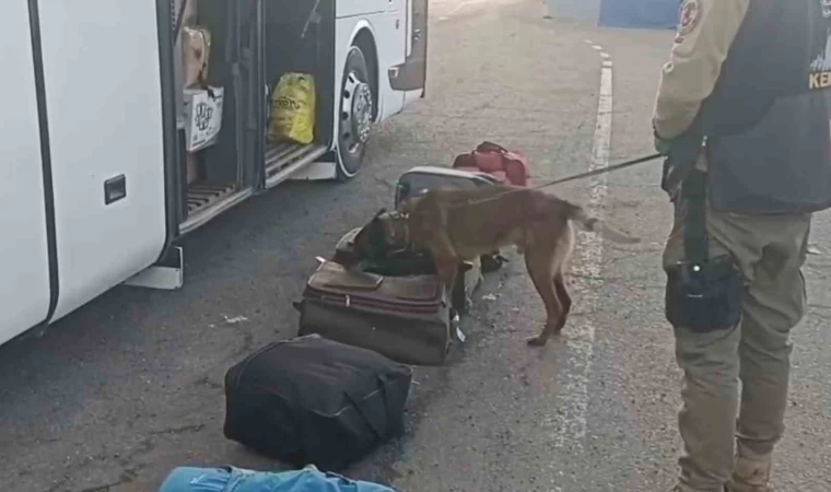 Erzurum’da narko operasyon