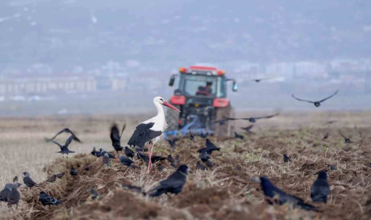 Erzurum’da traktör sayısı 22 bini geçti