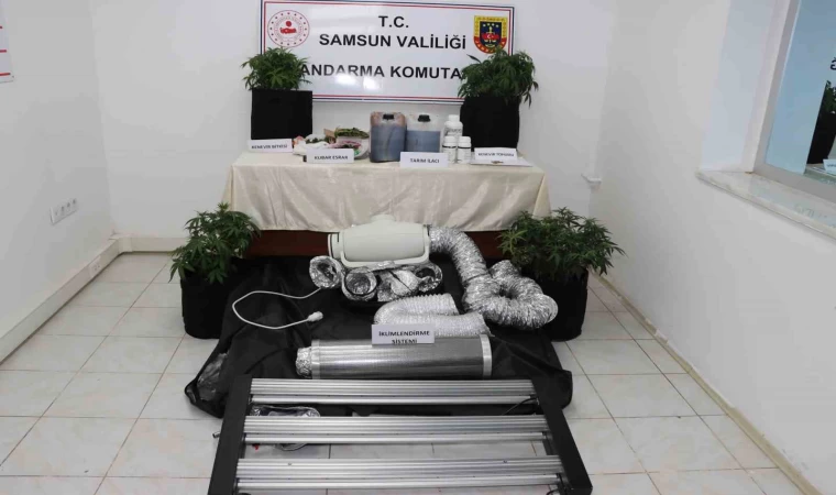 Evine iklimlendirme sistemi kurup kenevir yetiştirdi, jandarmaya yakalandı