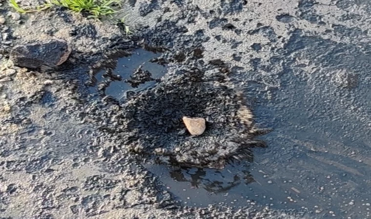 Fabrikaların zehrini kustuğu dere can çekişiyor