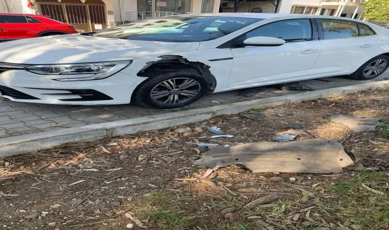 Fethiye’de domuzlar otomobili parçaladı
