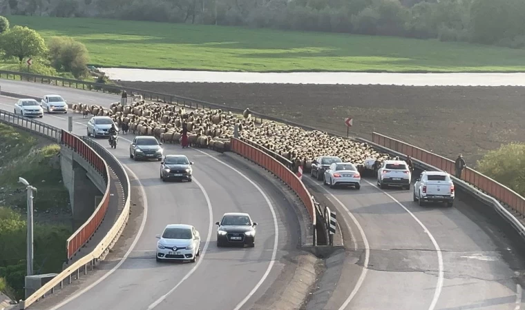 Göçerlerin Faraşin Yaylası yolculuğu başladı