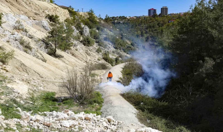 Gülnar’da temizlik ve ilaçlama çalışması