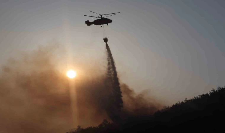 Güney Kore’de orman yangını: Bin 200 kişi için tahliye kararı