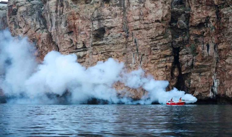 Havaların ısınmasıyla birlikte ilaçlama çalışmaları hız kazandı