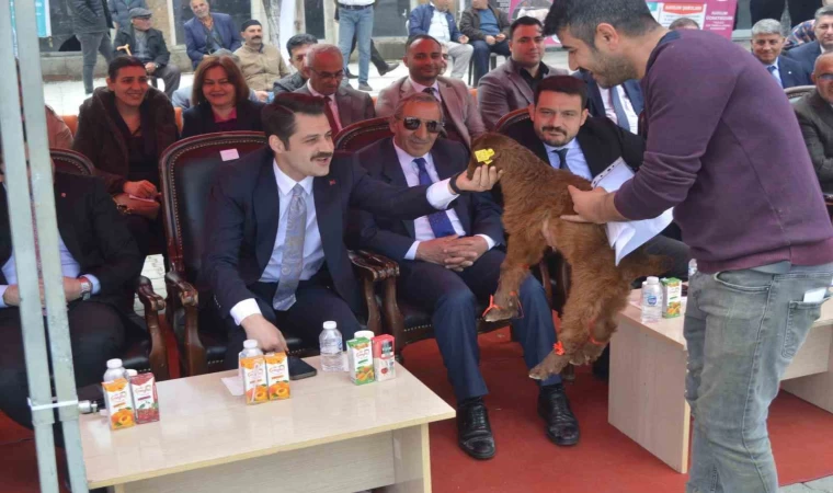 Iğdır’da güzellik yarışması düzenlendi