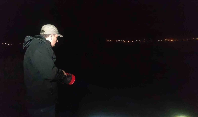 İnci kefalinin tatlı sulara göçü başladı