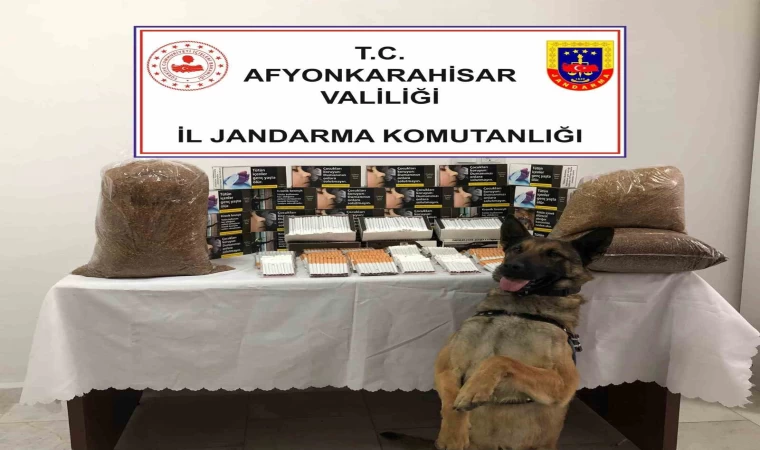 Jandarmadan kaçak makaron operasyonu