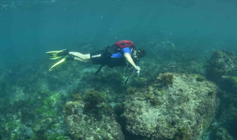 Karadeniz’in su altı güzellikleri keşfedilecek
