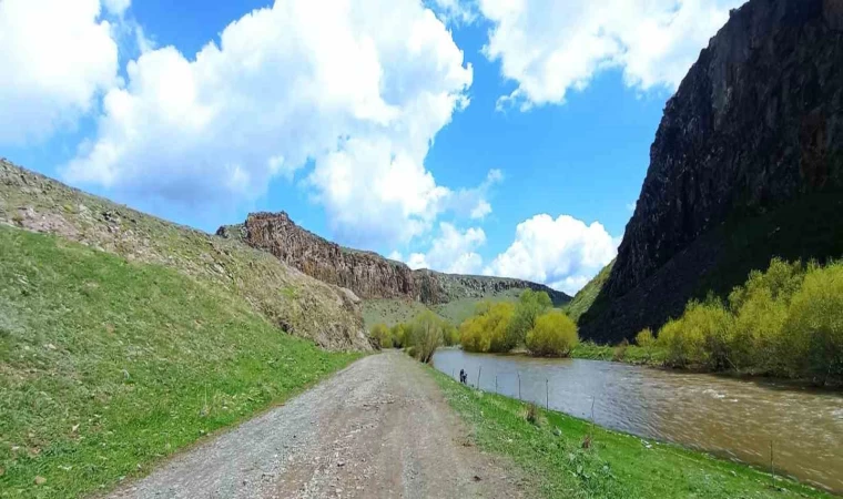 Kars’ta köylüler Akyaka Kanyonu’nu ağaçlandırıyor