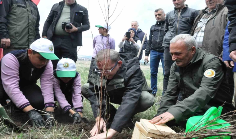 Kars’ta meyve ağaçları toprakla buluştu